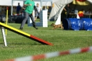 Deutsche Vereinsmeisterschaft Agility am 30./31.08.2008 _135