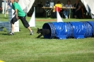 Deutsche Vereinsmeisterschaft Agility am 30./31.08.2008 _145