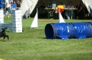 Deutsche Vereinsmeisterschaft Agility am 30./31.08.2008 _146