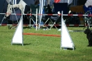 Deutsche Vereinsmeisterschaft Agility am 30./31.08.2008 _149