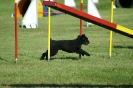 Deutsche Vereinsmeisterschaft Agility am 30./31.08.2008 _153