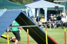 Deutsche Vereinsmeisterschaft Agility am 30./31.08.2008 _159