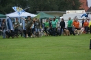 Deutsche Vereinsmeisterschaft Agility am 30./31.08.2008 _15