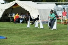 Deutsche Vereinsmeisterschaft Agility am 30./31.08.2008 _160