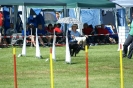 Deutsche Vereinsmeisterschaft Agility am 30./31.08.2008 _162