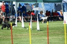 Deutsche Vereinsmeisterschaft Agility am 30./31.08.2008 _163