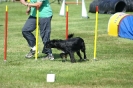 Deutsche Vereinsmeisterschaft Agility am 30./31.08.2008 _166