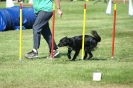 Deutsche Vereinsmeisterschaft Agility am 30./31.08.2008 _167