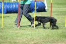 Deutsche Vereinsmeisterschaft Agility am 30./31.08.2008 _168