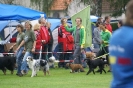 Deutsche Vereinsmeisterschaft Agility am 30./31.08.2008 _16