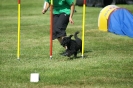 Deutsche Vereinsmeisterschaft Agility am 30./31.08.2008 _179