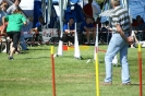 Deutsche Vereinsmeisterschaft Agility am 30./31.08.2008 _188