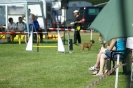 Deutsche Vereinsmeisterschaft Agility am 30./31.08.2008 _189