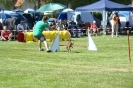 Deutsche Vereinsmeisterschaft Agility am 30./31.08.2008 _193