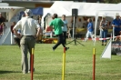 Deutsche Vereinsmeisterschaft Agility am 30./31.08.2008 _1