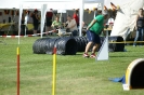 Deutsche Vereinsmeisterschaft Agility am 30./31.08.2008 _209