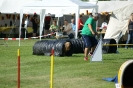 Deutsche Vereinsmeisterschaft Agility am 30./31.08.2008 _210