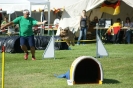 Deutsche Vereinsmeisterschaft Agility am 30./31.08.2008 _212