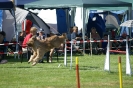 Deutsche Vereinsmeisterschaft Agility am 30./31.08.2008 _213