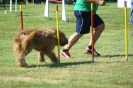 Deutsche Vereinsmeisterschaft Agility am 30./31.08.2008 _219