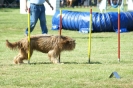 Deutsche Vereinsmeisterschaft Agility am 30./31.08.2008 _222