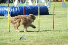 Deutsche Vereinsmeisterschaft Agility am 30./31.08.2008 _224