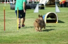 Deutsche Vereinsmeisterschaft Agility am 30./31.08.2008 _229