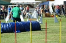 Deutsche Vereinsmeisterschaft Agility am 30./31.08.2008 _230