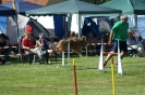 Deutsche Vereinsmeisterschaft Agility am 30./31.08.2008 _233