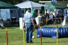 Deutsche Vereinsmeisterschaft Agility am 30./31.08.2008 _234