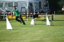 Deutsche Vereinsmeisterschaft Agility am 30./31.08.2008 _241