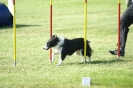 Deutsche Vereinsmeisterschaft Agility am 30./31.08.2008 _248