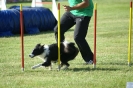 Deutsche Vereinsmeisterschaft Agility am 30./31.08.2008 