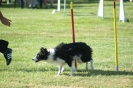 Deutsche Vereinsmeisterschaft Agility am 30./31.08.2008 _253