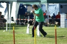 Deutsche Vereinsmeisterschaft Agility am 30./31.08.2008 