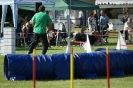 Deutsche Vereinsmeisterschaft Agility am 30./31.08.2008 _255