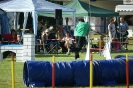 Deutsche Vereinsmeisterschaft Agility am 30./31.08.2008 _256