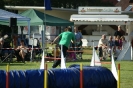 Deutsche Vereinsmeisterschaft Agility am 30./31.08.2008 _257