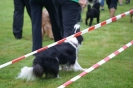 Deutsche Vereinsmeisterschaft Agility am 30./31.08.2008 _26