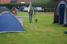 Deutsche Vereinsmeisterschaft Agility am 30./31.08.2008 _27