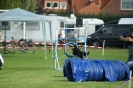 Deutsche Vereinsmeisterschaft Agility am 30./31.08.2008 _33