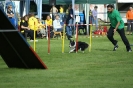 Deutsche Vereinsmeisterschaft Agility am 30./31.08.2008 _34