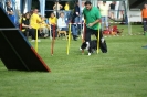 Deutsche Vereinsmeisterschaft Agility am 30./31.08.2008 _35