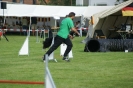 Deutsche Vereinsmeisterschaft Agility am 30./31.08.2008 _37