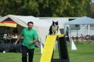 Deutsche Vereinsmeisterschaft Agility am 30./31.08.2008 _40