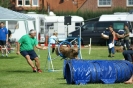 Deutsche Vereinsmeisterschaft Agility am 30./31.08.2008 _44