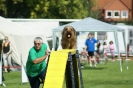 Deutsche Vereinsmeisterschaft Agility am 30./31.08.2008 