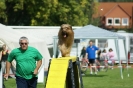 Deutsche Vereinsmeisterschaft Agility am 30./31.08.2008 _46