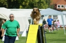 Deutsche Vereinsmeisterschaft Agility am 30./31.08.2008 _47