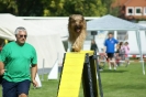 Deutsche Vereinsmeisterschaft Agility am 30./31.08.2008 _48